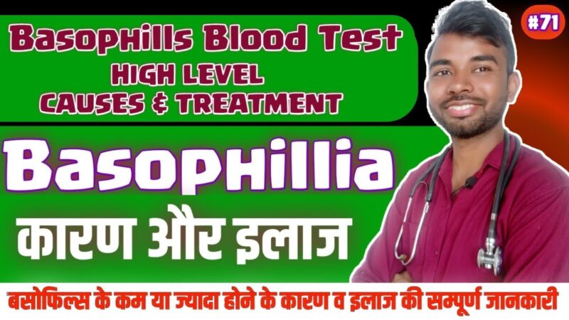 basophils meaning in hindi - Hình 3