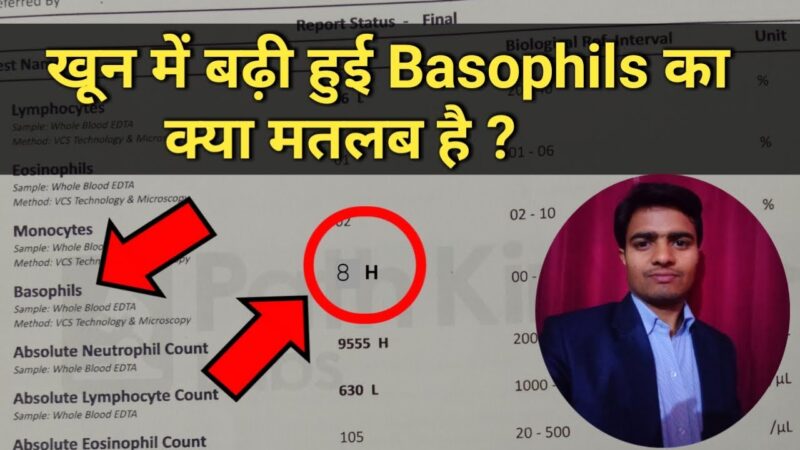 basophils meaning in hindi - Hình 4
