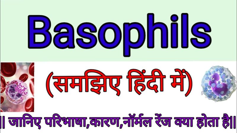 basophils meaning in hindi - Hình 5