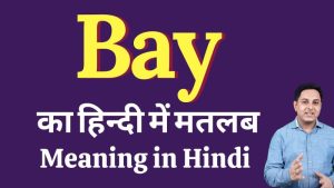 bay meaning in hindi