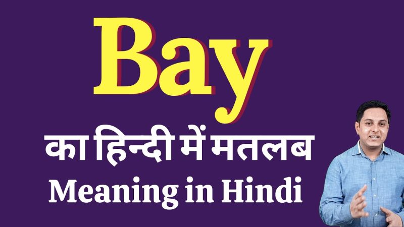 bay meaning in hindi - Hình 1