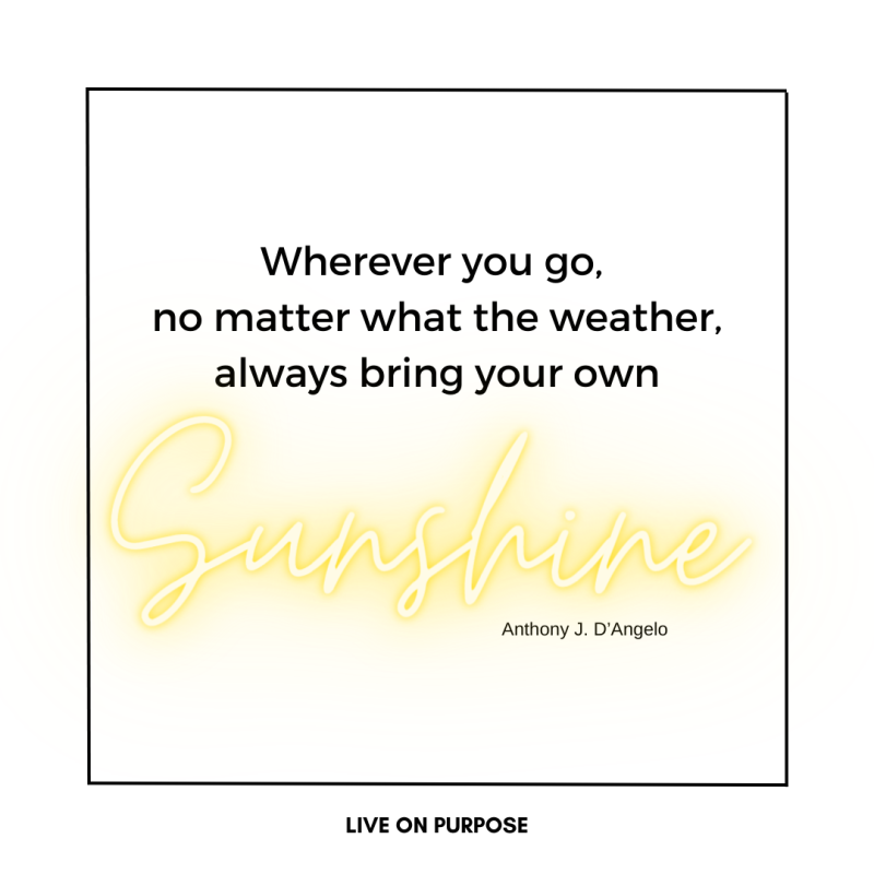 be your own sunshine meaning in hindi 2