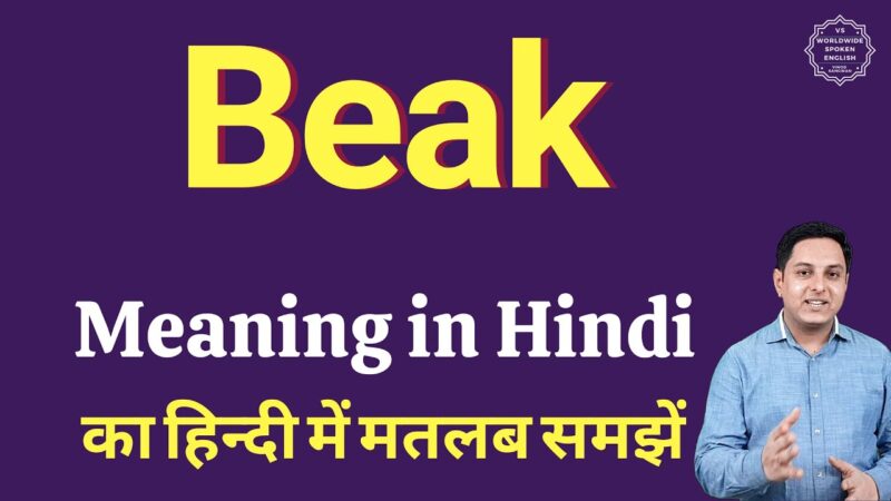 beak meaning in hindi - Hình 2