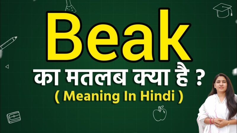 beak meaning in hindi - Hình 3