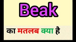 beak meaning in hindi