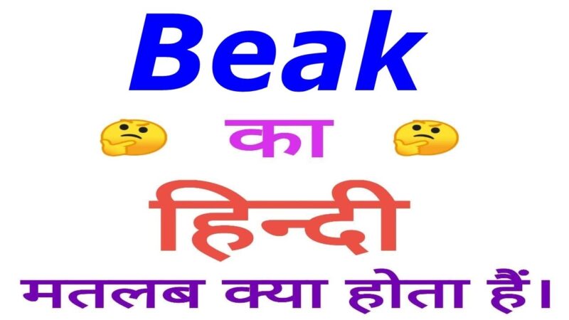 beak meaning in hindi - Hình 4