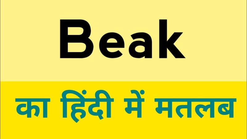 beak meaning in hindi - Hình 5
