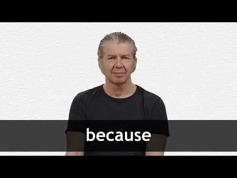 because meaning in hindi 1