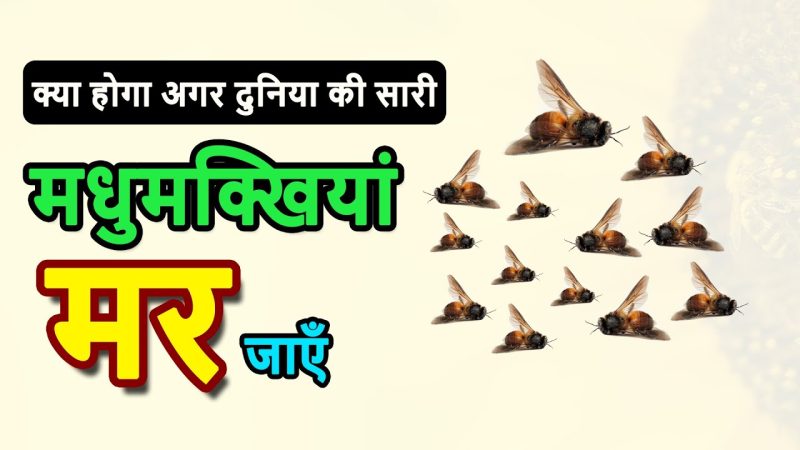 मधुमक्खी के बारे में रोचक तथ्य और सांस्कृतिक महत्व (Madhumakkhee ke baare mein rochak tathya aur saanskrtik mahatv)