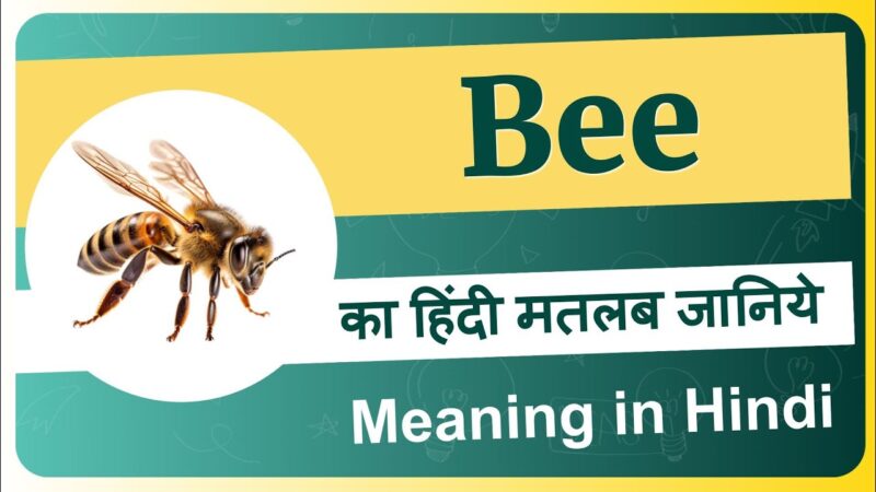 bees meaning in hindi - Hình 2