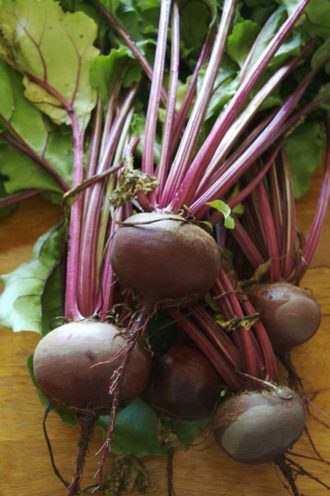 beet meaning in hindi - Hình 2