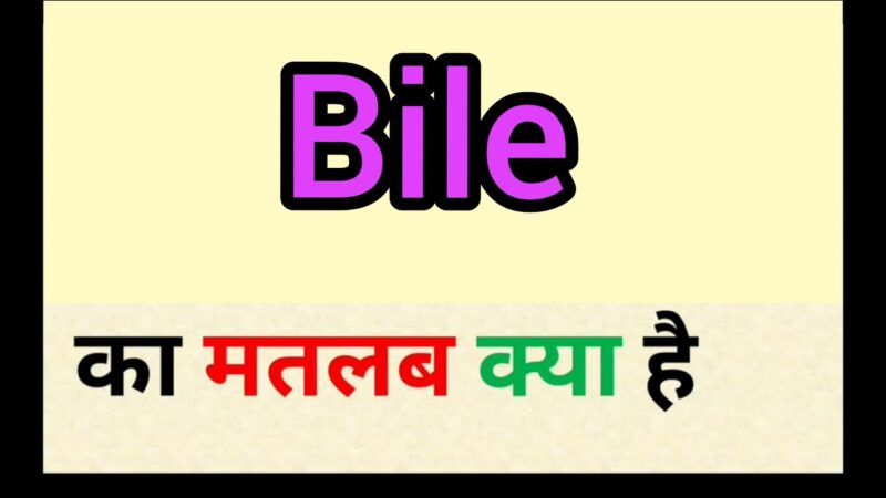 bile meaning in hindi - Hình 3