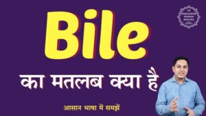bile meaning in hindi