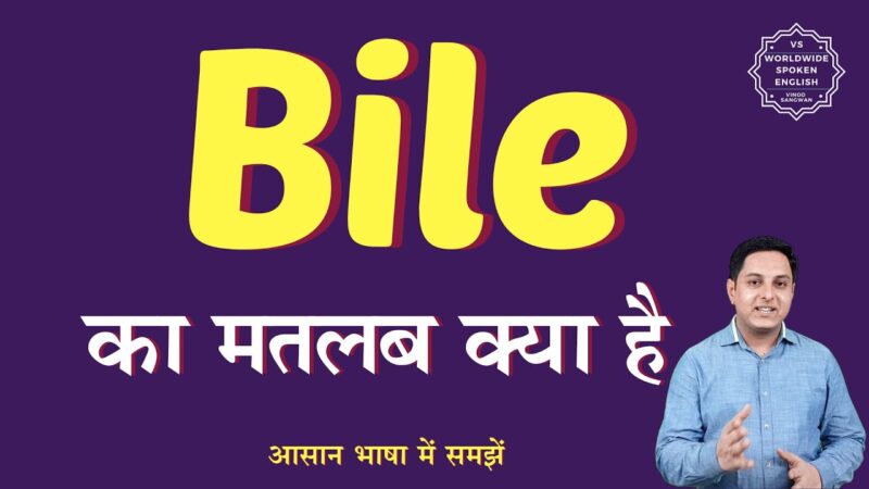 bile meaning in hindi - Hình 1