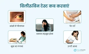 bilirubin meaning in hindi 2