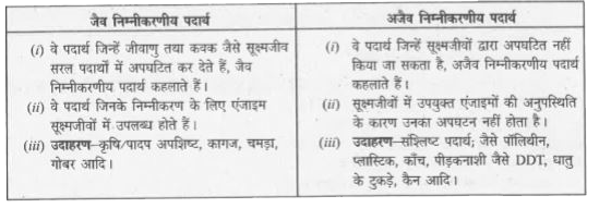 जैव निम्नीकरणीय बनाम कम्पोस्टेबल: प्रमुख अंतर