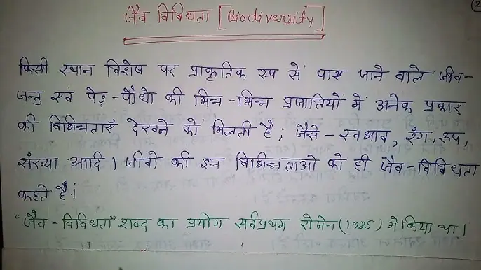 'Natural' शब्द के व्यावहारिक उदाहरण वाक्य