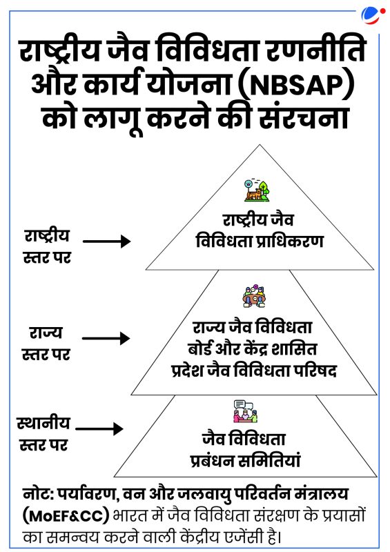 जैव विविधता और सतत विकास: एक अटूट संबंध