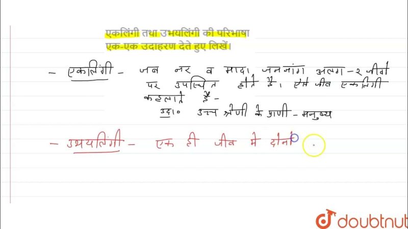 उभयलिंगी होने का क्या मतलब है? एक विस्तृत व्याख्या