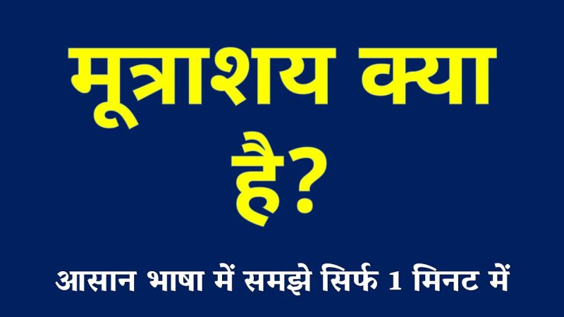 मूत्राशय का हिंदी अर्थ और इसका उच्चारण