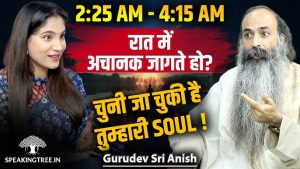 bliss meaning in hindi 1