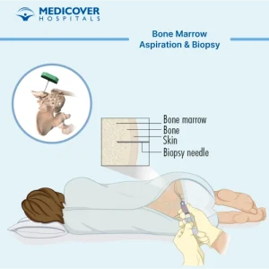 bone marrow meaning in hindi 4