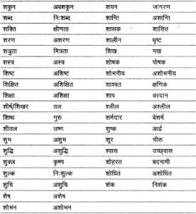 bore meaning in hindi 2