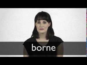 borne meaning in hindi 4