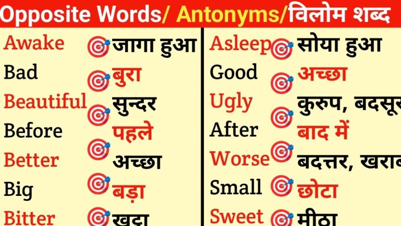 बॉटम शब्द के विभिन्न संदर्भ: शरीर रचना विज्ञान, कपड़े और अन्य (Different Contexts of the Word Bottom: Anatomy, Clothing, and More)