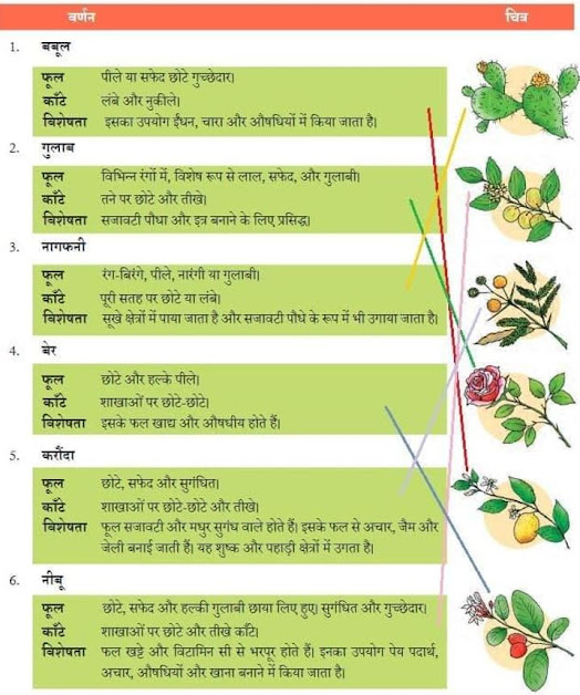 bound meaning in hindi 4
