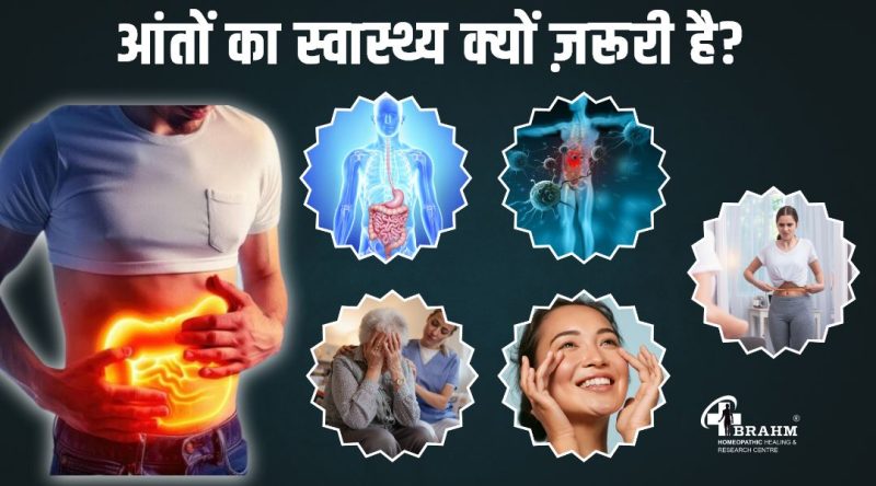 आंत के महत्वपूर्ण कार्य (Aant ke mahatvpurn karya)