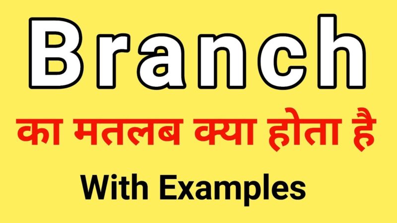 branch meaning in hindi - Hình 2