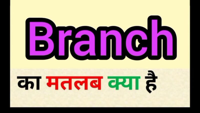 branch meaning in hindi - Hình 5