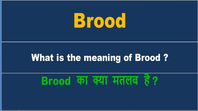 brook meaning in hindi - Hình 5