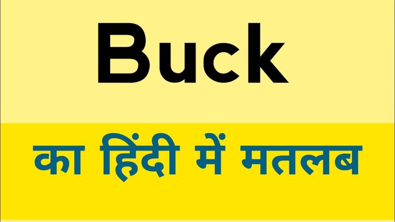 buck meaning in hindi - Hình 3