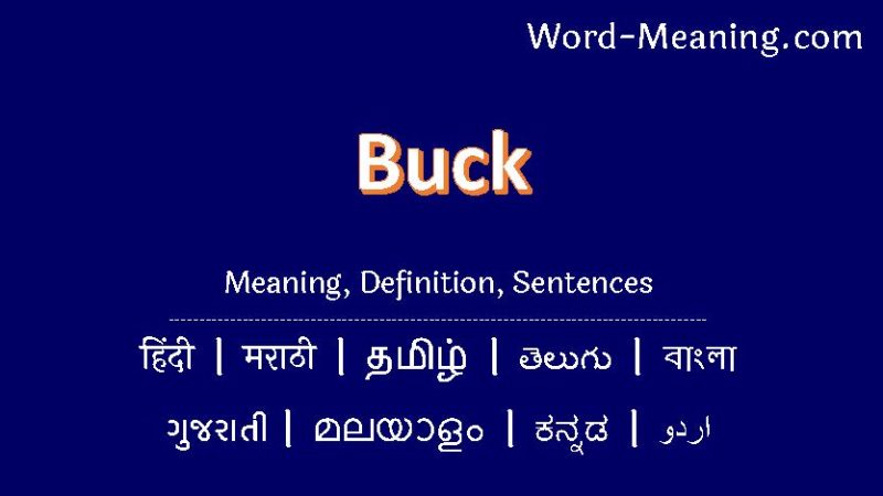 buck meaning in hindi - Hình 4