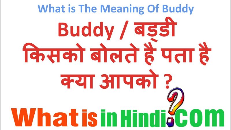 buddies meaning in hindi - Hình 3