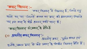buffer meaning in hindi 2