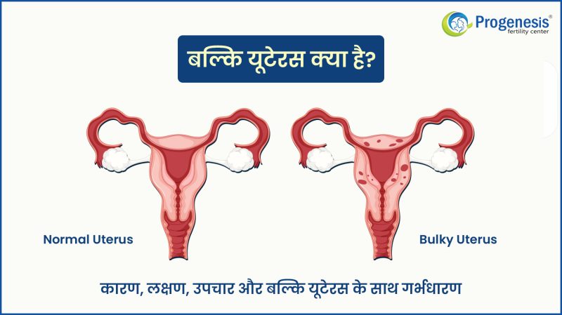 बल्की यूट्रस का मतलब हिंदी में क्या होता है? (Bulky Uterus Ka Matlab Hindi Mein Kya Hota Hai?)