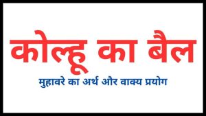 bull meaning in hindi 3