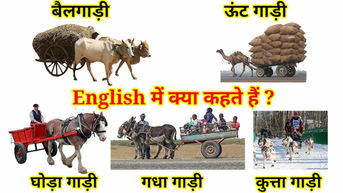 bullock cart meaning in hindi - Hình 2