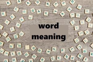 bully meaning in hindi 2