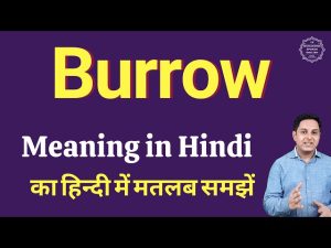 burrow meaning in hindi 1