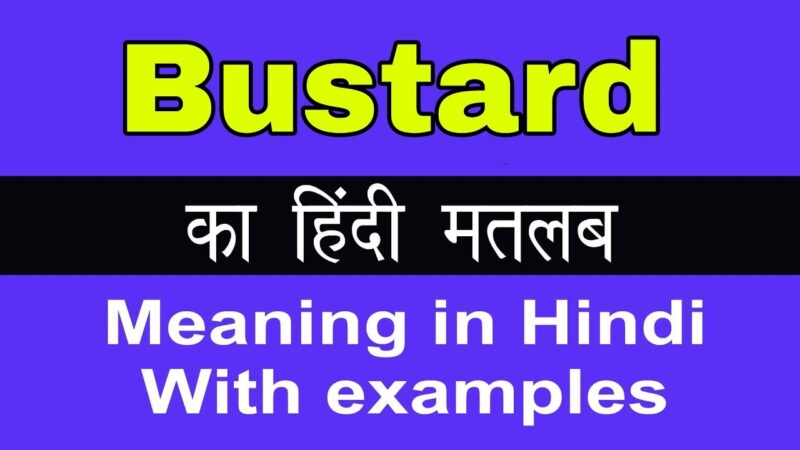 bustard meaning in hindi - Hình 1