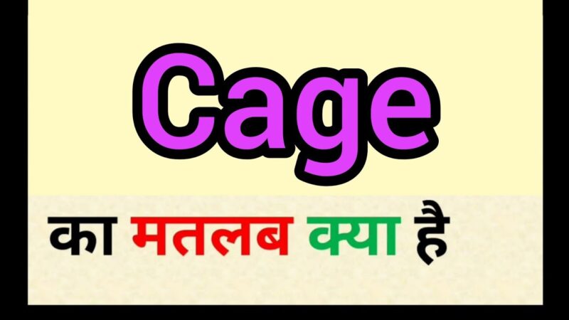 cage meaning in hindi - Hình 2