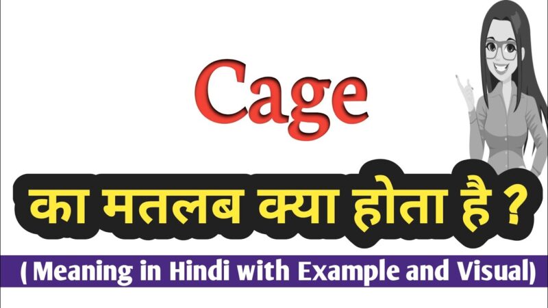 cage meaning in hindi - Hình 3