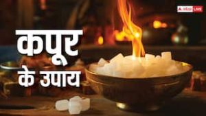 camphor meaning in hindi 4