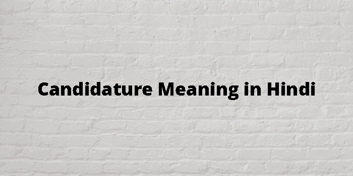 candidature meaning in hindi - Hình 4
