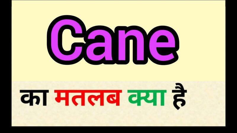 cane meaning in hindi - Hình 2
