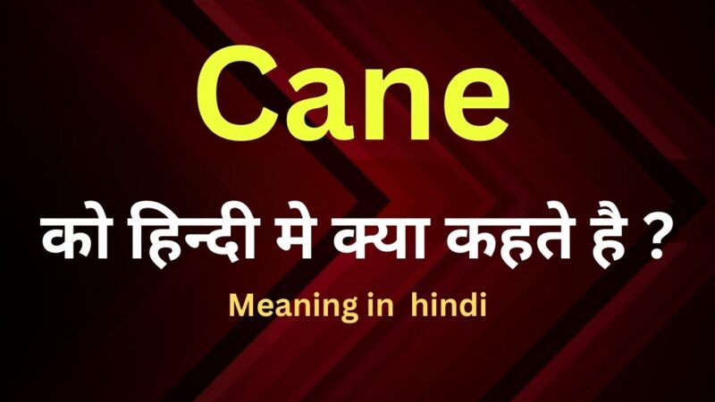 cane meaning in hindi - Hình 3